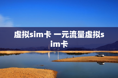 虛擬SIM卡與一元流量 網絡技術服務的創(chuàng)新與未來